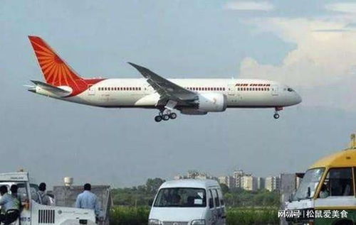 印度航空的飛行與餐桌 從無證駕駛到飛機(jī)餐背后的管理危機(jī)