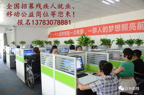 數(shù)字賦能，共創(chuàng)未來 電子商務為殘疾人群體帶來的新機遇與信息咨詢服務支持